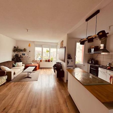 Bel Appartement Proche Mulhouse Pfastatt Ngoại thất bức ảnh