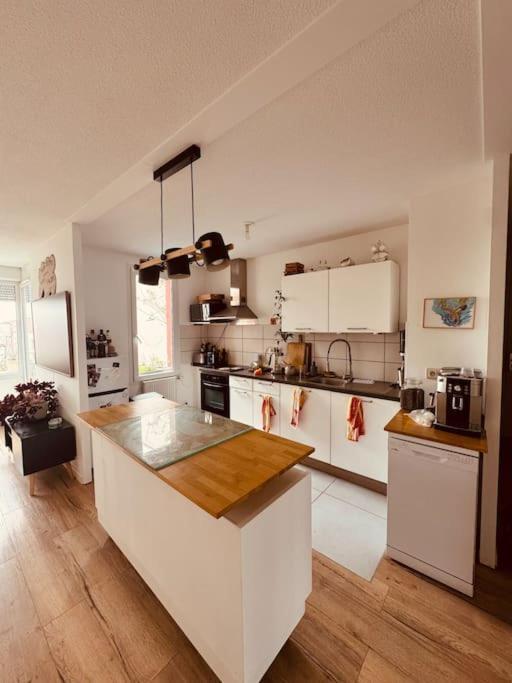 Bel Appartement Proche Mulhouse Pfastatt Ngoại thất bức ảnh